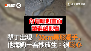 墾丁出現「30cm異形觸手」  他海釣一看秒放生：很噁心