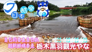 【日本酷樂小跟班】自己的香魚自己抓！神好吃的香魚料理在栃木黑羽觀光やな