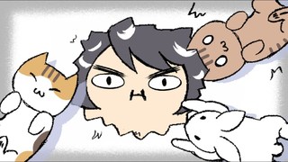 【迪鹿DeluCat】寵物災難，我養太多毛小孩了