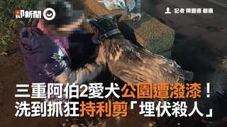 三重阿伯2愛犬公園遭潑漆！　洗到抓狂持利剪「埋伏殺人」