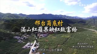 航拍：邢台崗底村　滿山紅蘋果映紅致富路