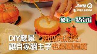 應景「南瓜肉泥煲」 　讓自家貓主子也過萬聖節