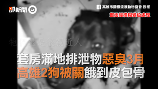 套房滿地排泄物惡臭3月　高雄2狗被關餓到皮包骨