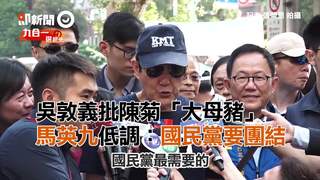 吳敦義批陳菊「大母豬」　馬英九低調：國民黨要團結