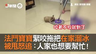 法鬥寶寶緊咬拖把在家溜冰　被甩怒追：人家也想要幫忙!