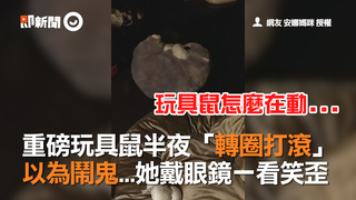 重磅玩具鼠半夜「轉圈打滾」 以為鬧鬼...她戴眼鏡一看笑歪