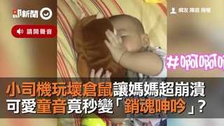 小司機玩壞倉鼠讓媽媽超崩潰　可愛童音竟秒變「銷魂呻吟」？