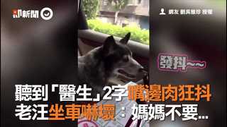 聽到「醫生」2字嘴邊肉狂抖　老汪坐車嚇壞：媽媽不要...