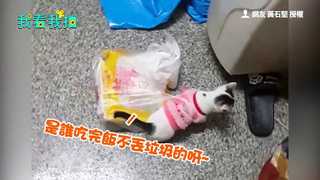 馬麻你誤會了　我在幫忙丟垃圾啦!