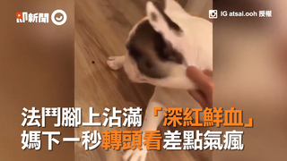 法鬥腳上沾滿「深紅鮮血」　媽下一秒轉頭看差點氣瘋