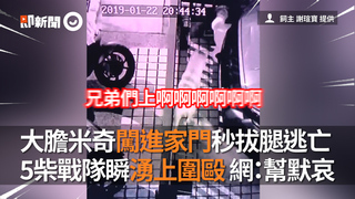 大膽米奇闖進家門秒拔腿逃亡　5柴戰隊瞬湧上圍毆 網：幫默哀