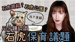 貓與香菜-路殺石虎？三分鐘認識石虎保育議題！
