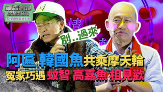 阿匾韓國魚共乘愛情摩天輪 姚蚊智遇歡喜冤家高嘉魚│ 悶鍋出任務