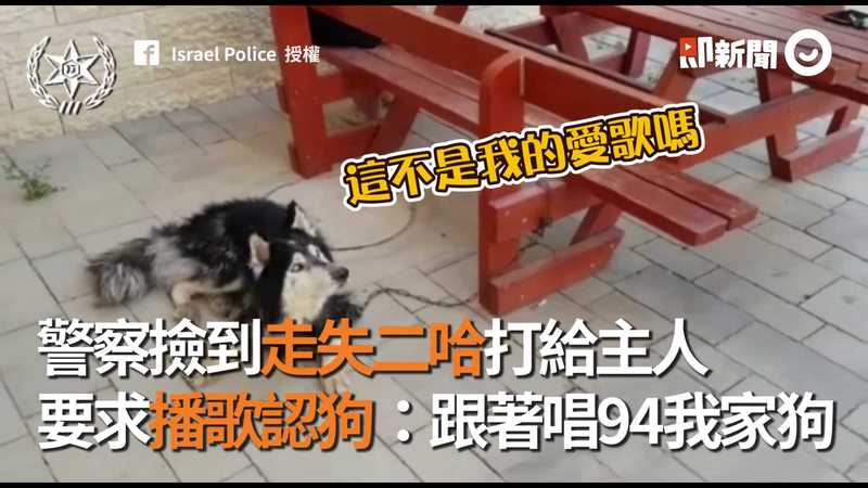 警察撿到走失二哈打給主人　要求播歌認狗：跟著唱94我家狗