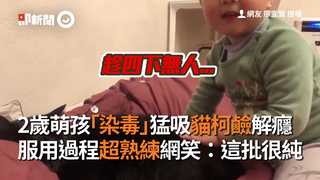 2歲萌孩「染毒」猛吸貓柯鹼解癮  服用過程超熟練網笑：這批很純