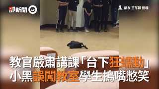 教官嚴肅講課「台下狂蠕動」　小黑誤闖教室學生摀嘴憋笑