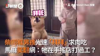 柴同框男孩光速「拜拜」求肉吃　馬麻笑翻網：牠在手搖店打過工？