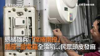 螞蟻雄兵「席捲南投」　插座、變電箱全淪陷...民眾頭皮發麻