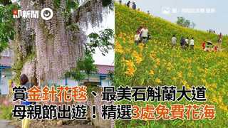 賞金針花毯、最美石斛蘭大道　母親節出遊！精選3處免費花海