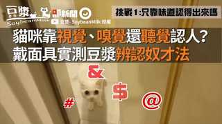 貓咪靠視覺、嗅覺還聽覺認人？ 　戴面具實測豆漿辨認奴才法