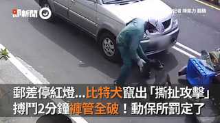郵差停紅燈...比特犬竄出「撕扯攻擊」 搏鬥2分鐘褲管全破！動保所罰定了