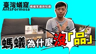 臺灣蟻窟-螞蟻為什麼沒品！？種、亞種、品種的差異｜螞蟻知識與常識