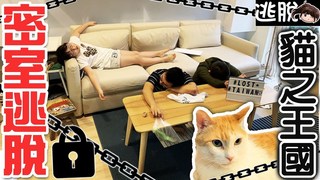 妞妞TV-【逃脫】真人密室逃脫:貓之王國篇 Ft.黃阿瑪的後宮生活