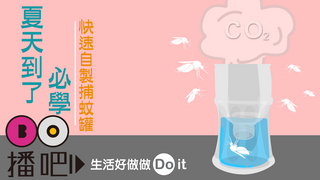 夏天必學！快速自製捕蚊罐！