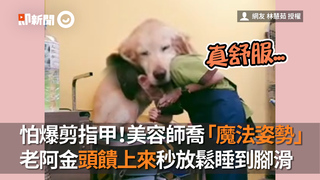 怕爆剪指甲！美容師喬「魔法姿勢」　老阿金頭饋上來秒放鬆睡到腳滑