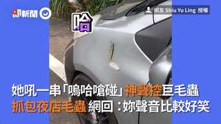 她吼一聲｢嗚哈嗆碰｣神聲控巨毛蟲 抓包夜店毛蟲 網回：妳聲音比較好笑
