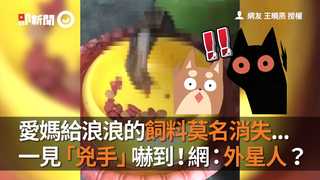 愛媽給浪浪的飼料莫名消失...　一見「兇手」嚇到！網：外星人？