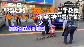 鴨群迷路！警察機動隊出手救援　持大箭頭引導  網笑：牠們看得懂？