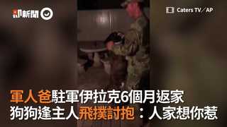 軍人爸駐軍伊拉克6個月返家　狗狗逢主人飛撲討抱：人家想你惹