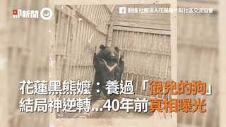 花蓮黑熊嬤：養過「很兇的狗」結局神逆轉...40年前真相曝光