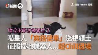 喵星人「爽搭便車」巡視領土  征服掃地機器人...超Chill退場