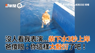 沒人看我表演...柴下水3秒上岸 爸傻眼：你這樣太敷衍了吧！