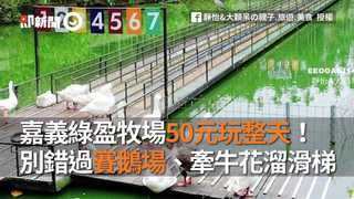 嘉義綠盈牧場50元玩整天！別錯過賽鵝場、牽牛花溜滑梯