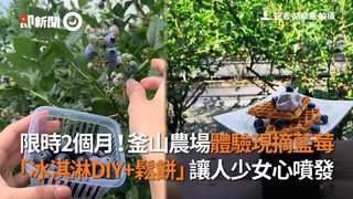 限時2個月！釜山農場體驗現摘藍莓「冰淇淋DIY+鬆餅」讓人少女心噴發