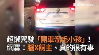 超懶駕駛「開車溜毛小孩」！　 網轟：腦X飼主、真的很有事
