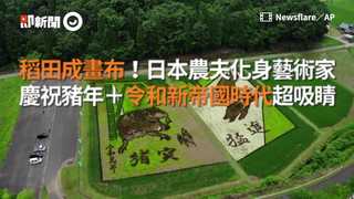 稻田成畫布！日本農夫化身藝術家　慶祝豬年+令和新帝國時代超吸睛