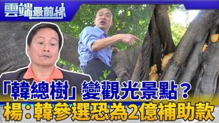 韓國瑜爬樹成觀光景點？填發泡劑挨轟 楊實秋：韓國瑜參選恐為2億政黨補助款｜雲端最前線 EP654精華