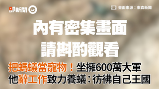把螞蟻當寵物！坐擁600萬大軍 他辭工作致力養蟻：彷彿自己王國