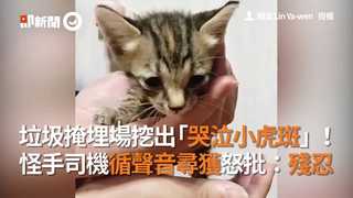 垃圾掩埋場挖出「哭泣小虎斑」！怪手司機循聲音尋獲怒批：殘忍