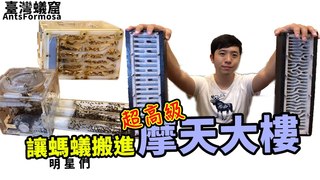 臺灣蟻窟-私人打造超高超美的巢　讓螞蟻住進「摩天大樓」