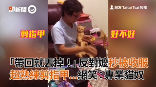 「帶回就丟掉！」反對嬤秒被收服　超熟練剪指甲...網笑：專業貓奴