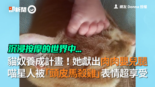 貓奴養成計畫！馬麻獻出肉肉嬰兒腿  喵星人被「頭皮按摩」...表情超享受