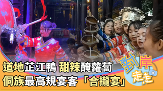 「初戀粉色系」醃蘿蔔、道地芷江鴨 侗族最高規宴客「合攏宴」