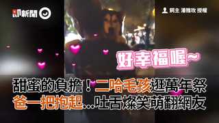 甜蜜的負擔！二哈毛孩逛萬年祭　爸一把抱起...吐舌燦笑萌翻網友