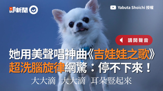 她用美聲唱神曲《吉娃娃之歌》  超洗腦旋律網驚：停不下來！