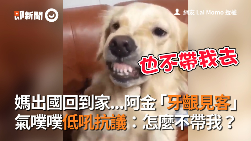 専門学校 ちば愛犬動物フラワー学園 در توییتر ドッグトレーナーコースで行った 防衛訓練の授業 飯尾先生の愛犬 現役警察犬のバンくんが大活躍です バンくん かっこいいねっ ちば愛犬 ドッグトレーナー 警察犬 シェパード Https T Co 7jam18u9xz